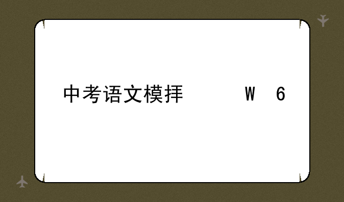 中考语文模拟试卷