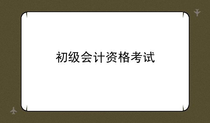 初级会计资格考试