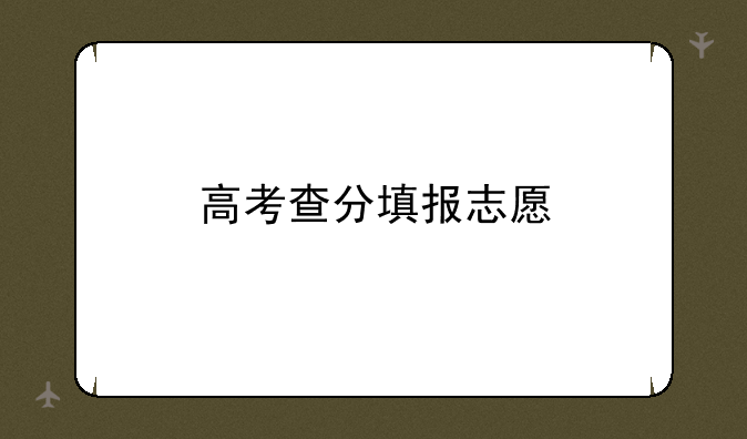 高考查分填报志愿