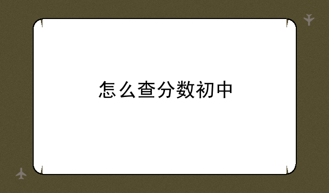 怎么查分数初中