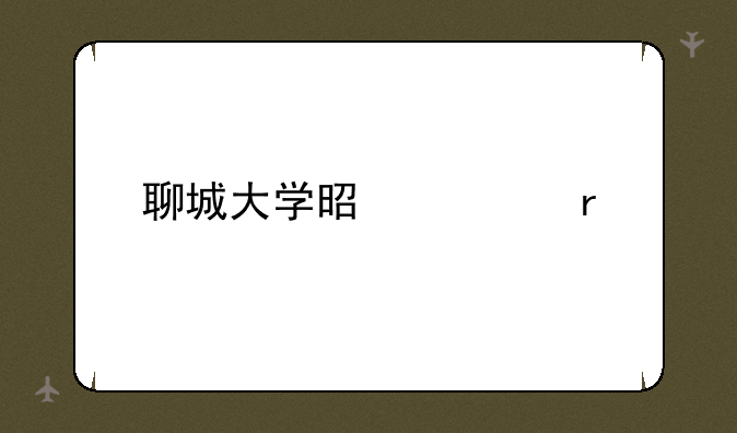 聊城大学是几本