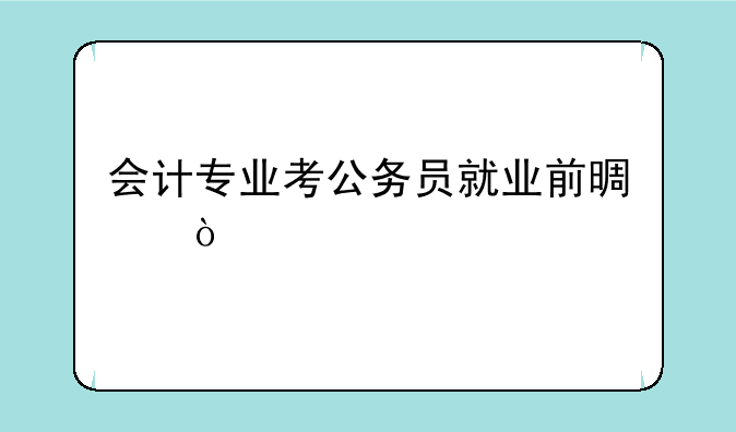 会计专业考公务员就业前景？