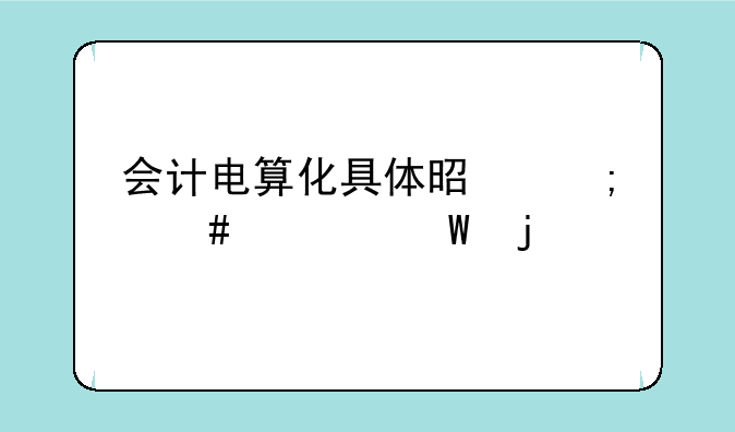 会计电算化具体是怎么考试的