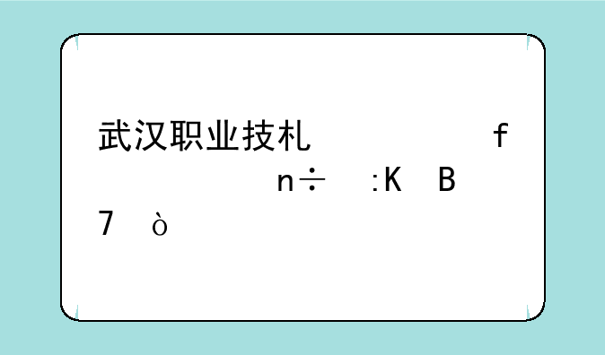 武汉职业技术学院全国排名？