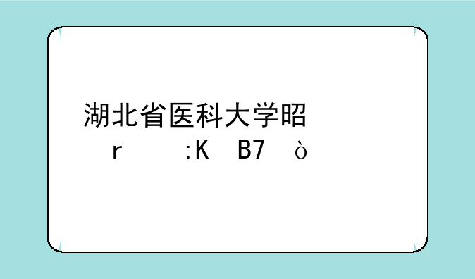湖北省医科大学是几本排名？