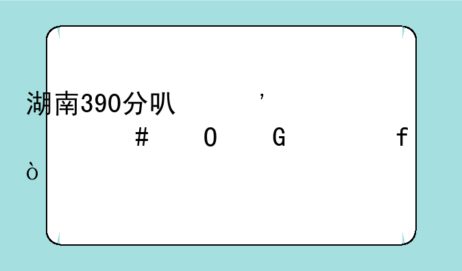 湖南390分可选什么专科学院？