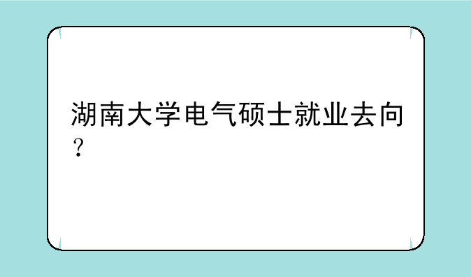 湖南大学电气硕士就业去向？
