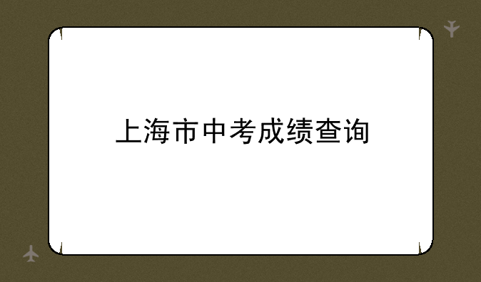 上海市中考成绩查询
