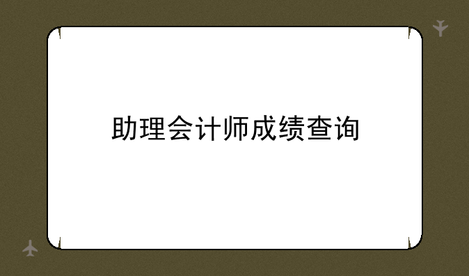 助理会计师成绩查询