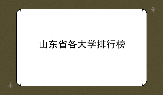 山东省各大学排行榜