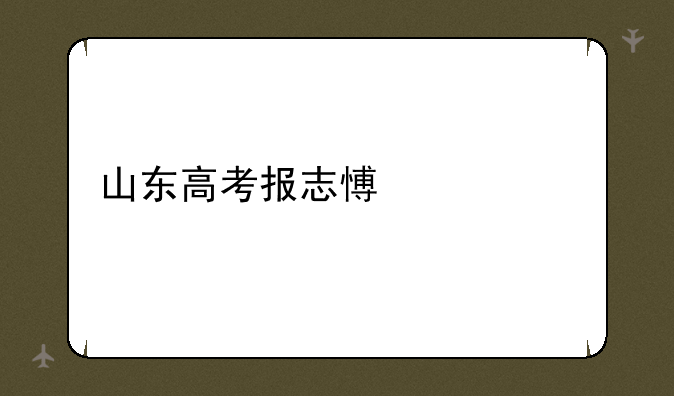 山东高考报志愿流程