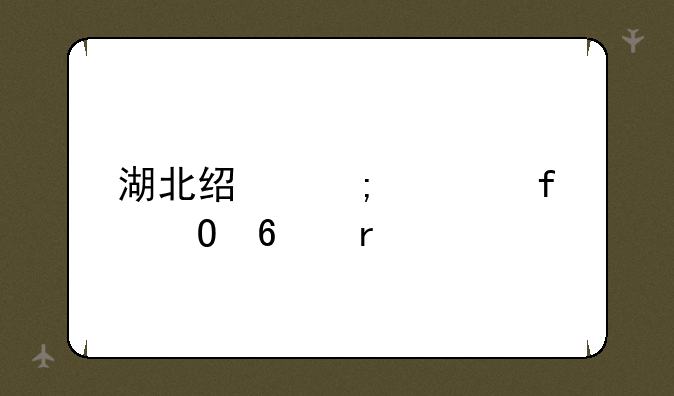 湖北经济学院专升本