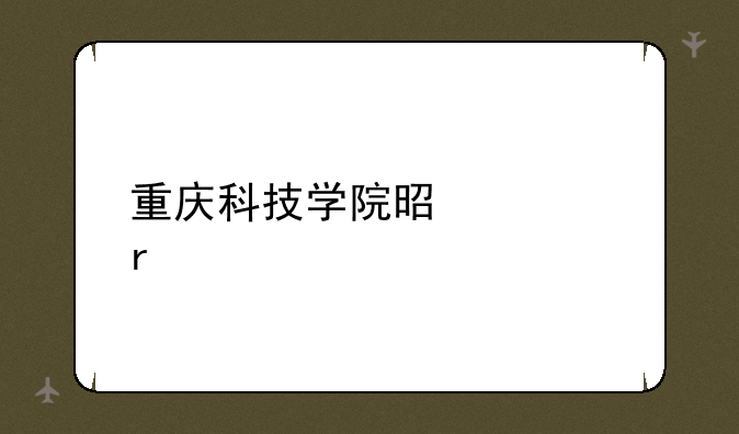 重庆科技学院是几本