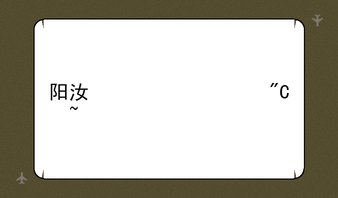 阳江市中考成绩查询