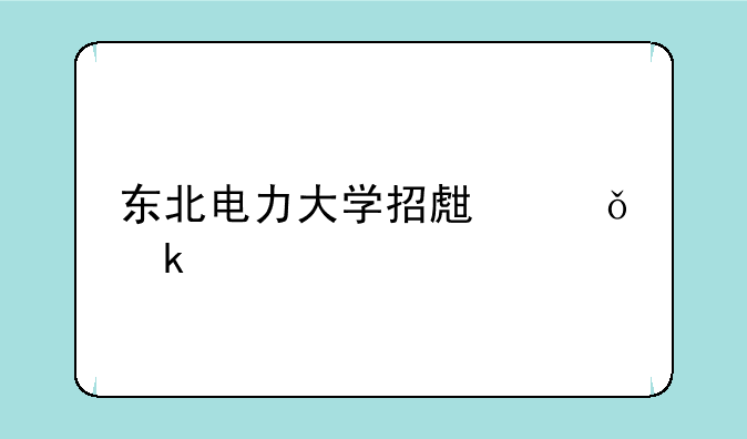 东北电力大学招生就业处