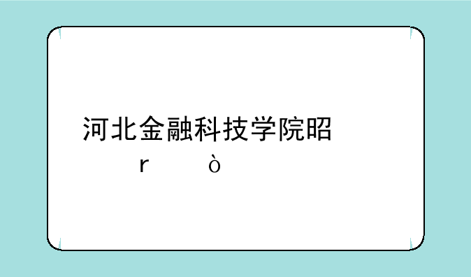 河北金融科技学院是几本？