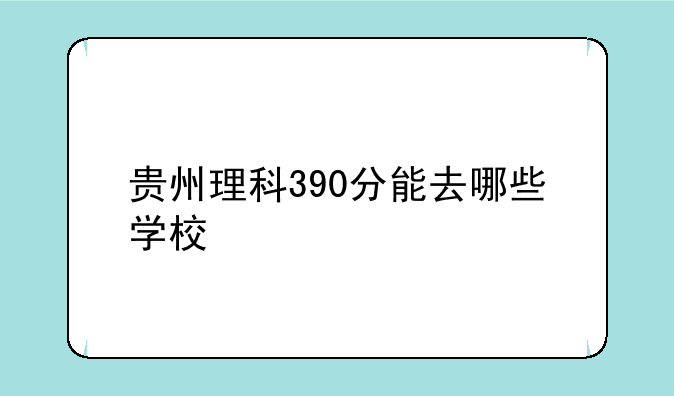 贵州理科390分能去哪些学校