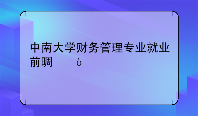 中南大学财务管理专业就业前景？