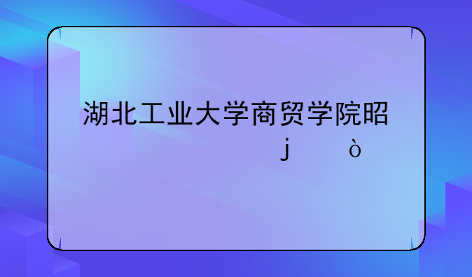 湖北工业大学商贸学院是几类的？