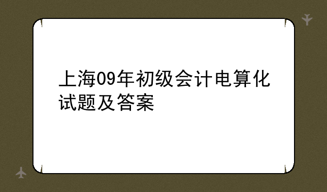 上海09年初级会计电算化试题及答案