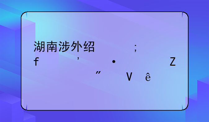 湖南涉外经济学院汉语言文学分数线
