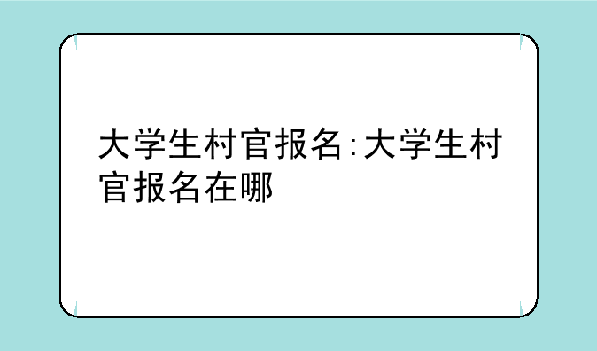 大学生村官报名:大学生村官报名在哪