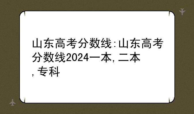 山东高考分数线:山东高考分数线2024一本,二本,专科
